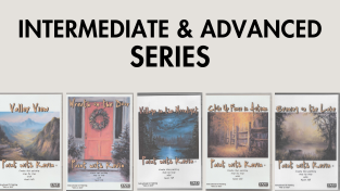 Oil Painting Intermediate Advanced DVDs