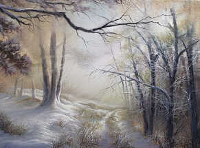 Winter Walk